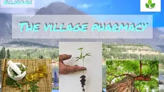 The Village Pharmacy || Forest Tree || Neem tree