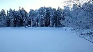 Застывшее время. Озеро в ледяном плену под Когалымом | -30°C | 4K