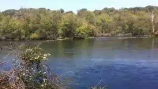 McCarter Auction Oct 18 Trundle Estate River View