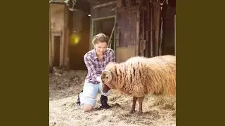 Farm Animal Noises to Relax and Sleep
