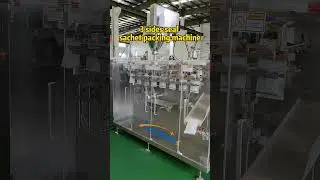 Sachet packing machine for powder filling. Acepack-Your packing solution!