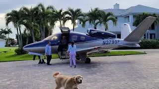 VeriJet Arrivals