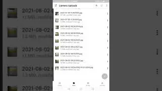 How to rename a file on Dropbox