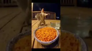 Celebrity gossip 2025, Trending entertainment videos, Movie updates 2025 #cute  #youtube