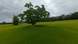 Mastering Forward Flips with DJI Avata 2 | FPV Drone Flying Tips