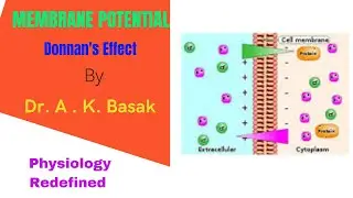 Membrane Potential: Gibbs Donnan Membrane Equilibrium or Donnan's effect
