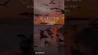 vairal instagram quran tilawat beautiful voice 🥰#shorts #quranreaction #vairalvideo #trending