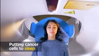 Putting cancer cells to sleep