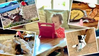 Pet Store Fun & An Unexpected Goodbye 💔 | Family Vlog