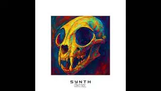 Synth - High Time In Miami (Official Audio)