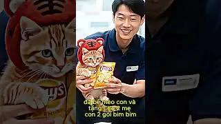 Panic! Tiger-Hat Kittens Chip AdventureLost & Found - Daisy's Journal #cat #cute #funny
