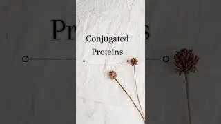 Conjugated Proteins &there prosthetic Group