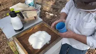 Feeding sugar for a winter emergency food using the Mountain Camp method 