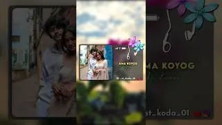 Ama Koyog Ho Kamaal || New Santali Status Video || Santali Status Video