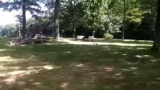 E REVO w/ Tekin RX8 and Tekin 2650kv Gen2 Motor