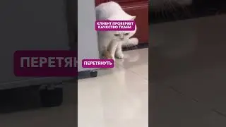 Ну признавайся! Хоть раз придирался к качеству товара 😂 #продажи #реклама #humor #диванымосква