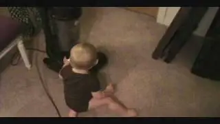 Bean vs. Vacuum Cleaner