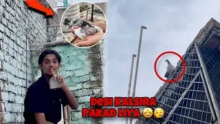Desi Kalsira Kabuter Pakda 🥳|| Maza Agya Aj 🤩
