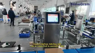 Weighing & Labeling Machine | Bottom Labeling for Boxes | Inline Conveyor Support
