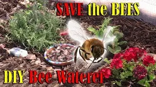 This Could Help SAVE the BEES | Easy DIY Bee Waterer