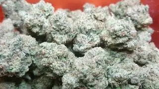 HARDCORE OG