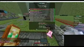 Becoming number 1 ON A NEW MC SERVER! (critz genz)