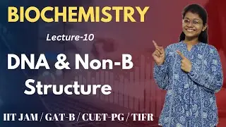 Biochemistry 10 | DNA and Non-B DNA Structure  | IIT JAM Biotechnology