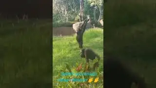 sabahı şerifleriniz hayrola!