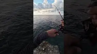 Shore Casting 20g Micro jig