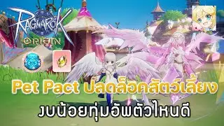 Ragnarok Origin[ROO] #73: Pet Pact ปลดล็อคสัตว์เลี้ยง - งบน้อยทุ่มอัพตัวไหนดี