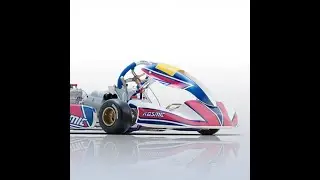 Kartodromo de Bs As C2 - KOSMIC KZ | Kart Racing Pro