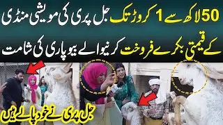 JalPari Ki Mandi Kay Bakray Bechany Walay Ki Shamat | Funny | Eid 2024 | Neo Digital
