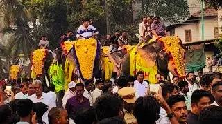9 ഗജവീരന്മാർ 🐘🐘🐘🐘🐘🐘🐘🐘🐘 തിരൂർ  പുതിയങ്ങാടി നേർച്ചയിൽ..BP Angadi | Tirur | Viral vedios