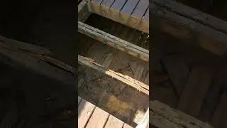сгнившие балки палубы #пчелиный домик #сделай сам #гнилыебалки #ремонтпалубы