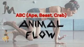 Travelling forms of Animal Flow level 1