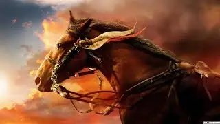 Mostrando os cavalos ! Mexemos com o bode bravo