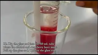 DIY DNA Extraction and Gel Electrophoresis | G2 HJ1 25/26