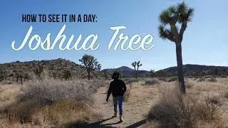 How to see Joshua Tree in 1 day