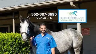 EQUINE PERFORMANCE INNOVATIVE CENTER