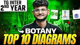 Botany Top 10 Diagrams for TG Inter 2nd Year | IPE 2026 Exam Strategy