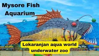 Lokaranjan Aqua World Underwater Zoo | Mysore Fish Aquarium