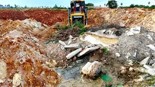 Expert Operating Of Open Forest Cutting & Clearing The Land Project Using SHANTUI Dozer DH17C2