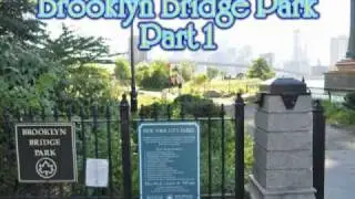 A Dog's Eye View of Brooklyn Bridge Park, Part 1