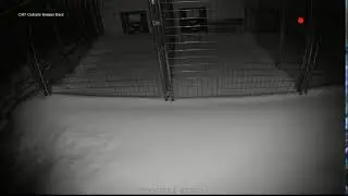 Puppy Cam 1 Whelping Room  Live Stream