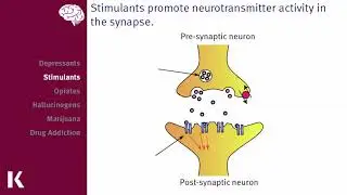 Consciousness-Altering Drugs | How Psychoactive Substances Affect the Brain & Behavior 💊🧠
