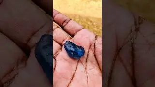 The thrill of the hunt. Real Game #gemstone #shorts #ratnapura #gemming #srilanka #usa