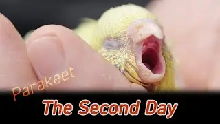 The Second Day ★ 2日目