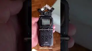 How Big Are They? Zoom H4n Pro, H5 and H6