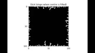 Diffusion-Limited Aggregation (DLA) &ndash; Stop When Centre Filled | 101&times;101 Grid Simulation in Python