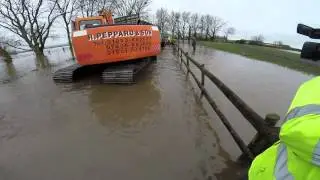 Somerset Floods: 550 cattle rescued from West Yeo Farm, Moorland: Shepton Mallet Journal
